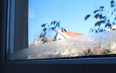 Πώς αναγνωρίζω υπερβολική υγρασία στο κτίριο;